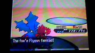 Pokemon Black 2 Gym Trainer Drayden
