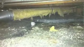 Crawl Space Cleaning In San Jose, CA - Swift Restoration