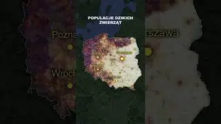 Złożyłem 16 Wsp&oacute;łczesnych Map Polski w 1 Obraz!