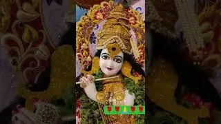 ##Kanha mero gulab ka phool #bhakti #song 🌹🌹🌹🙏&hearts;️&hearts;️