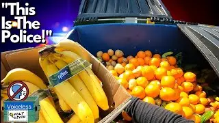 Voiceless Dumpster Diving (Mr. Volt Plays a prank on our son)  S2E16
