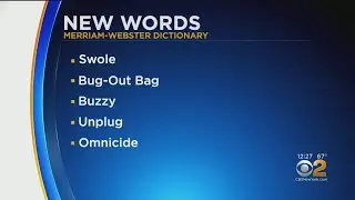 New Words Added To Dictionary