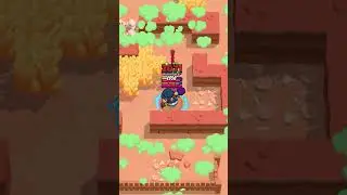 shelly!