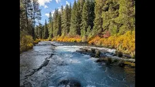 Metolius River Hike 1017