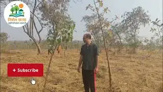 Reasons to plant peepal trees. #nationfirst #rockstars #viral #nirmalchhaya #yshort #youtube #india