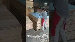 How was China plywood factory working
