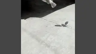 상상