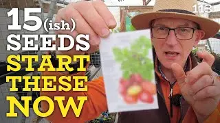 Seeds to sow in April, including 1.5m long carrots and potatoes from SEED!