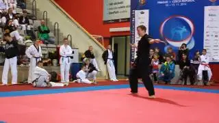 WKF World Championships 2014 - Matou&scaron; Brichc&iacute;n weapons