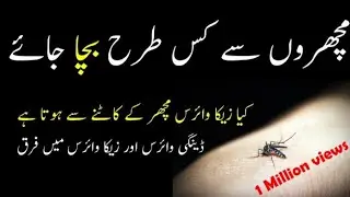 #Mosquitospray#Mosquito killer homemade#MacharBhaganekatarika|Malayria|Malaria fever symptom|#fever