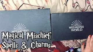 2 Wizarding World Loot Crate 2020 Unboxing 