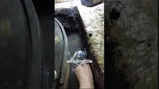 Powerful Sump Pump Prevents Basement Flood