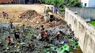 Perfectly Complete Working!! Land Fill in Dump Garbage by Skills Dozer Cutting Land With Dump Trucks