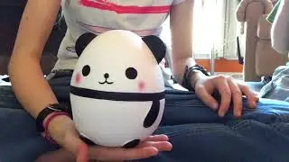 Panda Egg Squishy Review