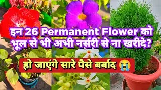 26 Permanent Flower Plant को नर्सरी से ना खरीदे ? Permanent Plant Don't Buy In Winter  #Flower_plant