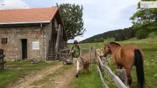 RANDONNER.CH Randonn&eacute;es et saveurs: de la T&ecirc;te de Ran &agrave; L&rsquo;Aubier NE
