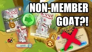 How to be non member member animal 2018