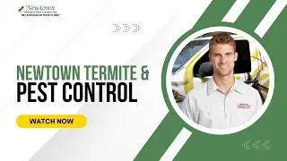 Newtown Termite & Pest Control - Rodents Warminster, US | Effective pest control Solutions