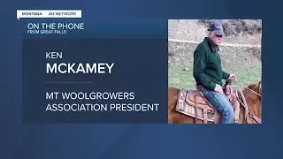 Montana Ag Network: New Processing Plant Good News for Sheep Producers