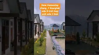 Terbaru Homestay Dieng 8 Unit ada dalam 1 Komplek #dieng #diengplateau #shots