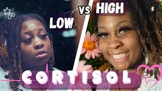 High Cortisol vs. Low Cortisol | What&rsquo;s Really Happening?