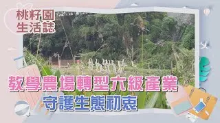 【桃籽園生活誌精選】教學農場轉型六級產業 守護生態初衷｜和平濕地生態農場 葉斯澍