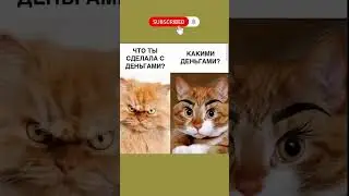 #смех #юмор #прикол #мем
