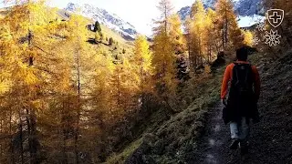 Hike from Arosa over Medergen to Langwies (2020/10/25)