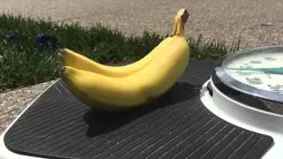 Physics boat project: small scale trials