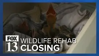 Ogden wildlife rehab center forced to close temporarily