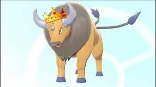 Tauros Rampages VGC