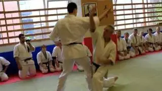 Shodokan Aikido Sheffield | 20th Anniversary | Aigamae Ate