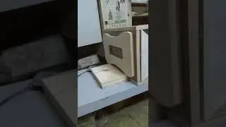 Bok balap