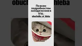гайд уже в тгк 🍞 #job#money#деньги#заработок#подработка#фриланс