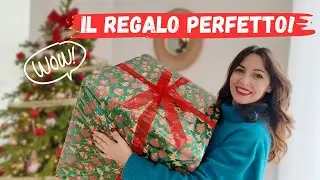 IL REGALO PERFETTO PER GATTI E GATTARE! Catlink Open x vs Neakasa M1