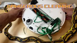 How to Super Clean and Detail Your Vacuum Cleaner - Full Guide! DANGEROUS CLEANING