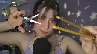 ASMR to Make You Honk Shoo