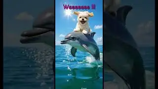 Weeeee !!  #puppy #hawaii #islandlife #cutepuppy #shihtzu #viralshorts #viral #tourism #pets
