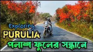বসন্তের পুরুলিয়া ll Palash Phool in Purulia ll Ajodhya Pahar