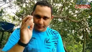 LIMPEZA ENERGÉTICA COM OVO