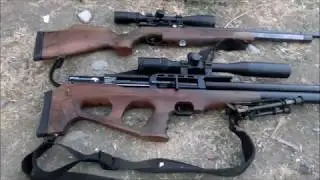 .22 vs .25: Air Rifle