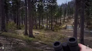 Way of the Hunter 5 Star Mule Bow Hunt