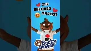 ✨🦫 Bucky Beaver COLLECTABLE Plushie! ✨ Dental Hygienist 🦷🪥 #maxill #RDH #dentalhygienist