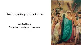 Rosary for July 16, 2024