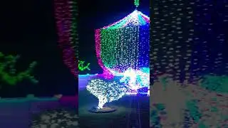South Sound| lights| CAYMAN ISLANDS.                    #cayman #island #islandlife