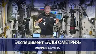 Сергей Кудь-Сверчков: проведение эксперимента &laquo;Альгометрия&raquo; на МКС