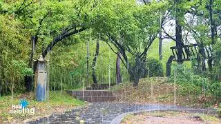 Forest Rain Walk Path ㅣ Healing Rain Sounds ASMR 💧