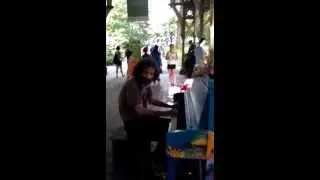 OPUS THE OCTOPUS - Pianist Steven Turner, Central Park Dairy Visitors Center