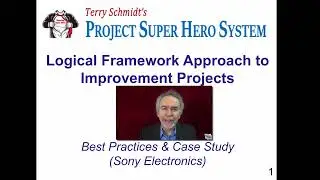 Unlocking Process Excellence with the Logical Framework Approach: A Sony Case Study
