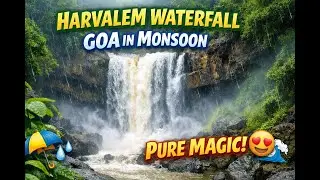 Monsoon Magic at Harvalem Waterfall 🌿💦 | Goa